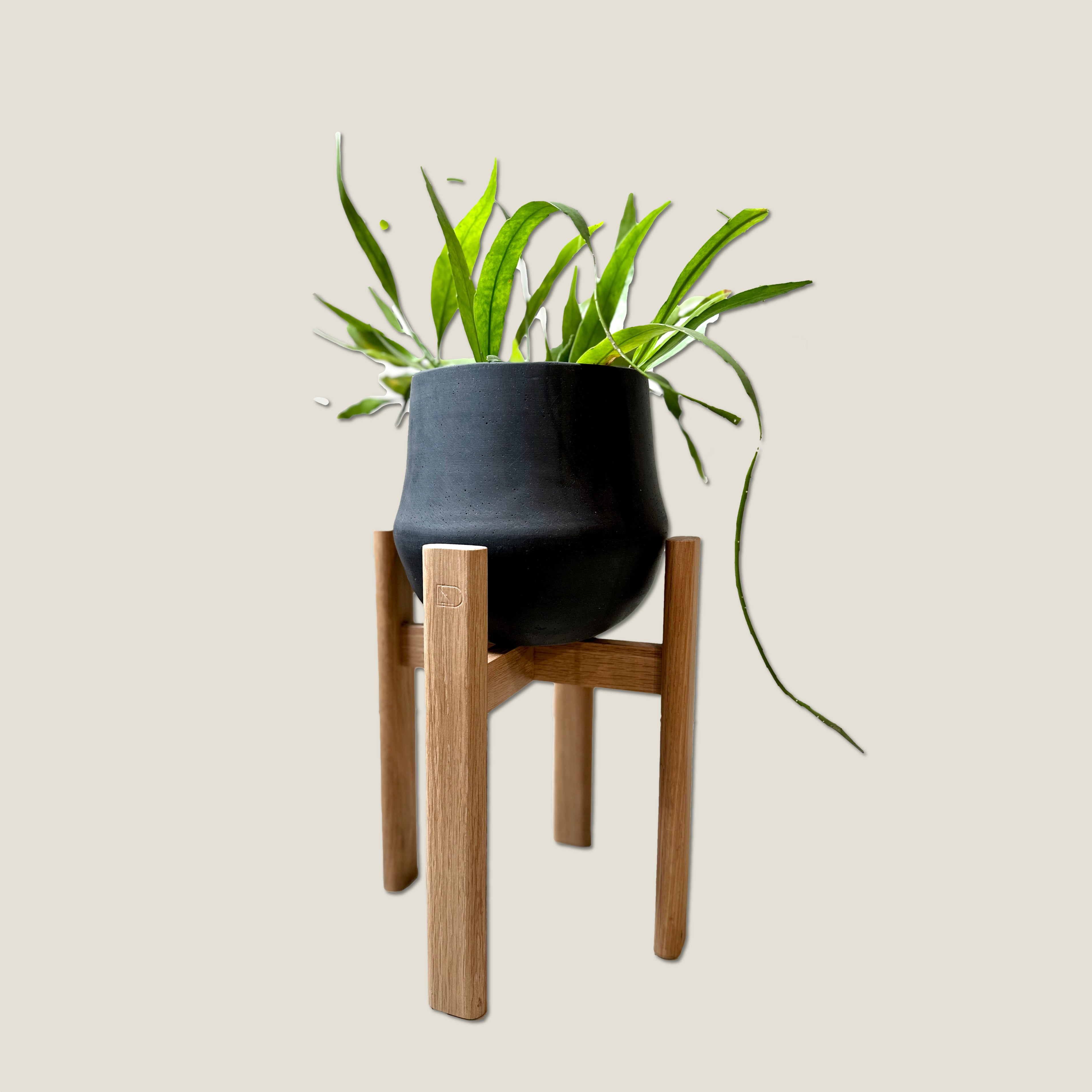 Stadium Plant Stand - Oak - Small