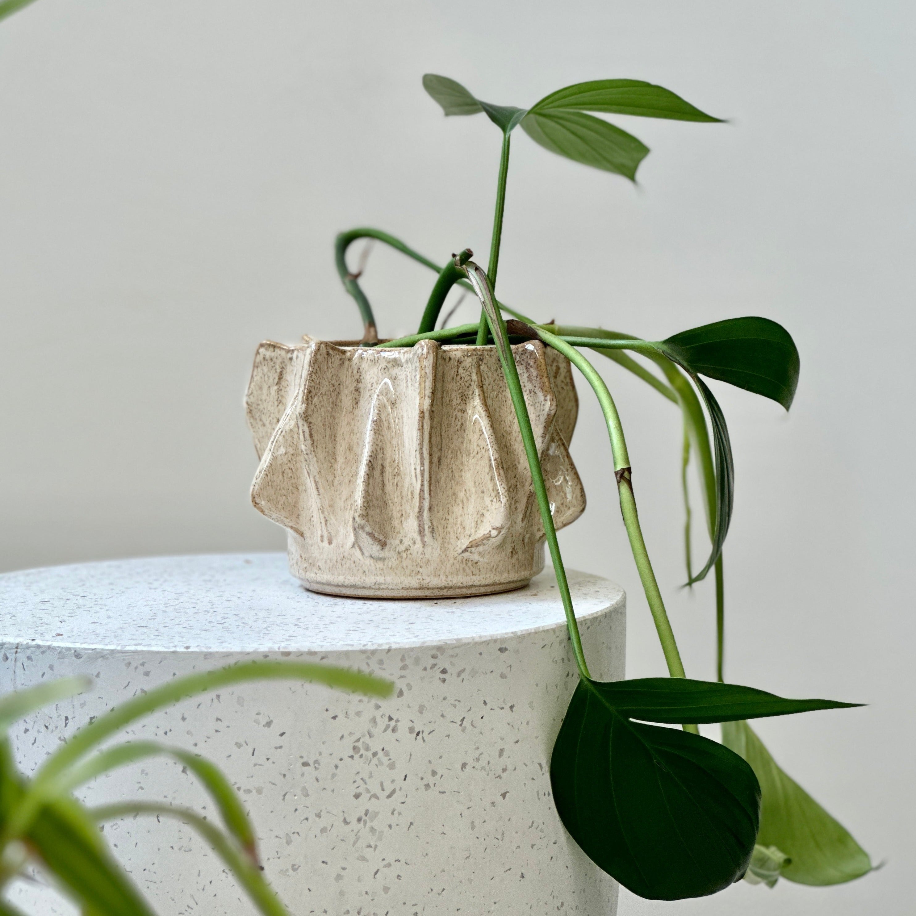 Erwan Ceramic Pot - Bristle