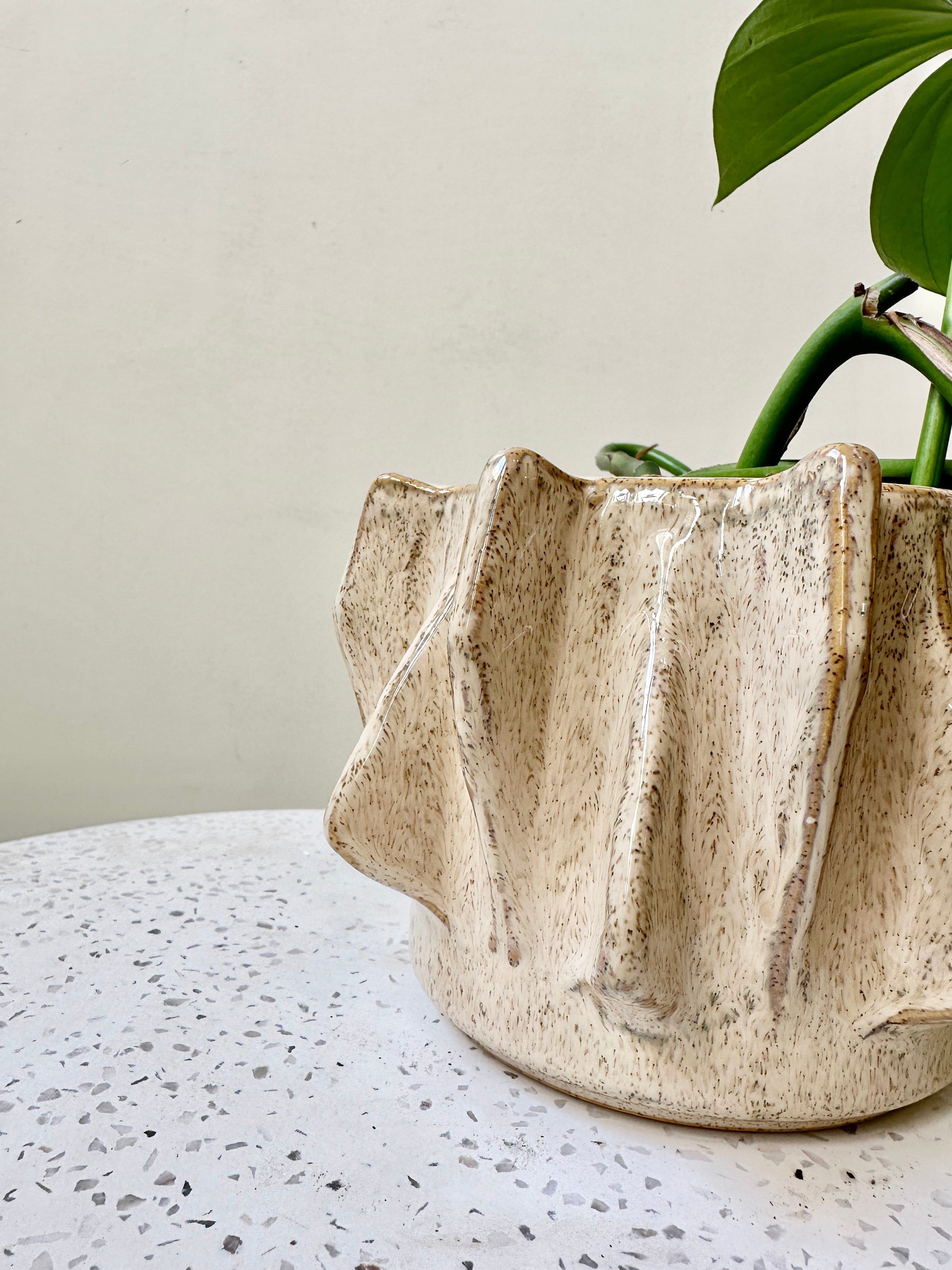 Erwan Ceramic Pot - Bristle