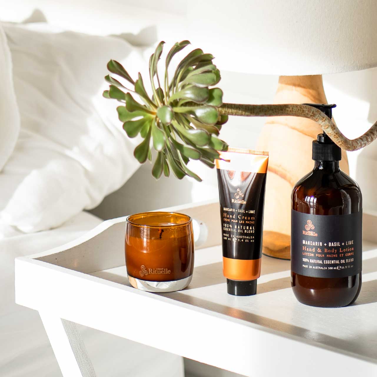 Equilibrium Collection Rodwell and Astor
