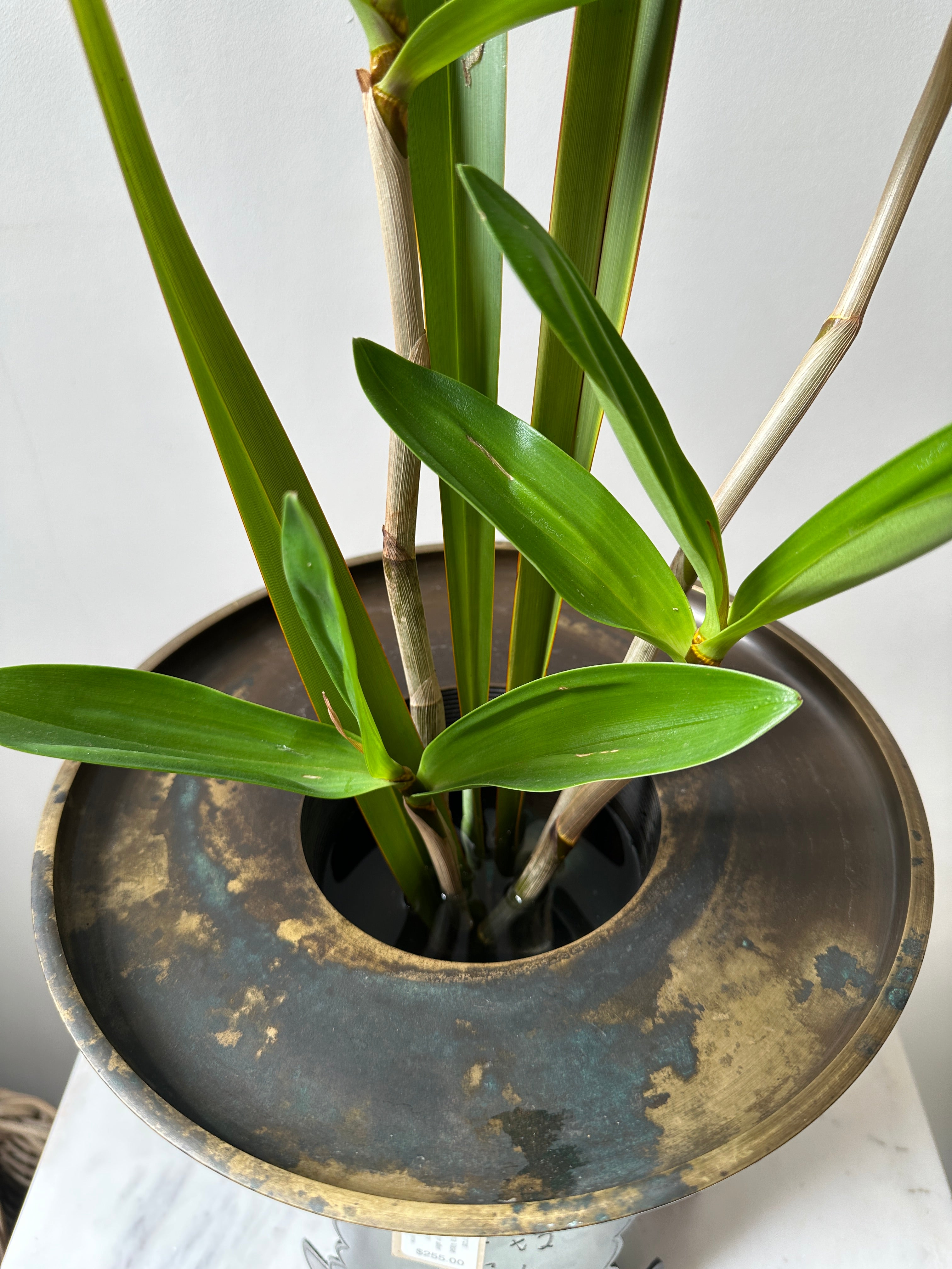 Vintage Japanese Bronze Ikebana Vase (Usubata)