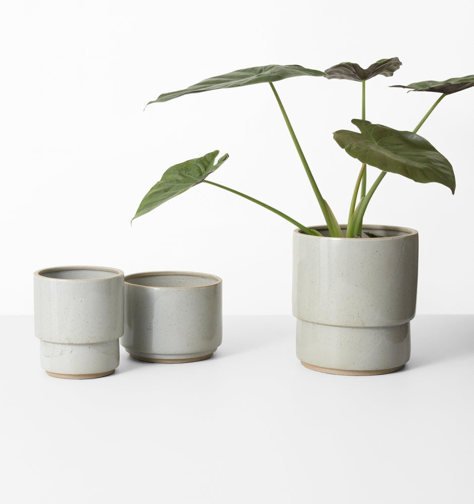 Angus Planter - Coast