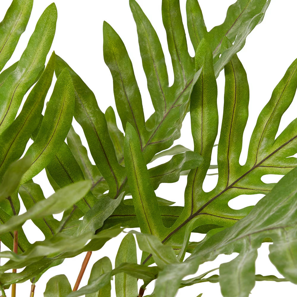 Ever Flora Faux Rabbit Foot Fern 70cm x 59cm