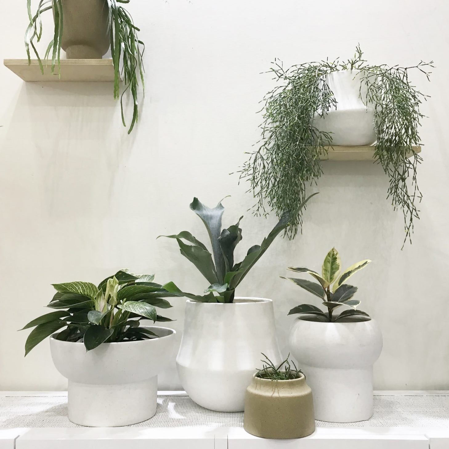 Ana Planter - Chalk - Small