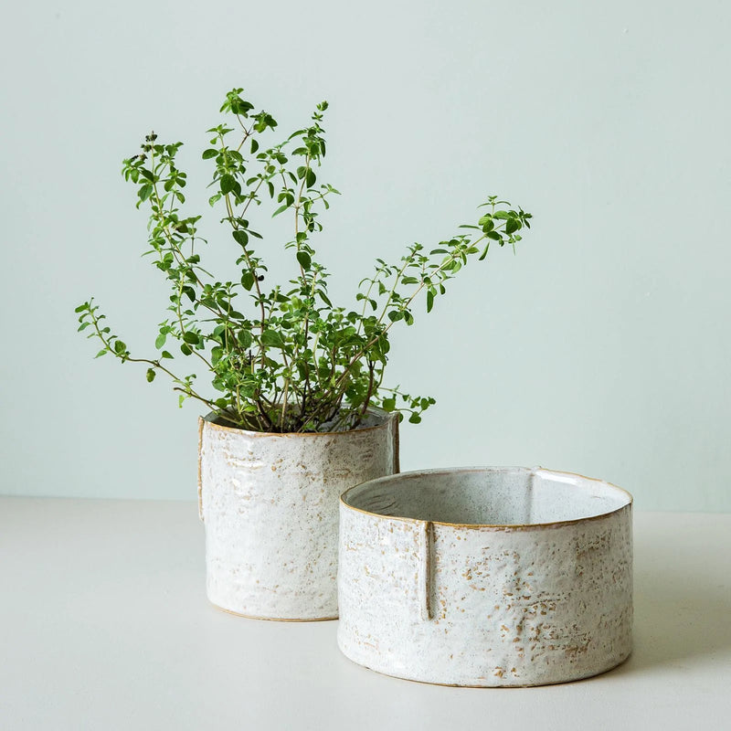 Rodwell and Astor - Forager Pot - Off White - Wide