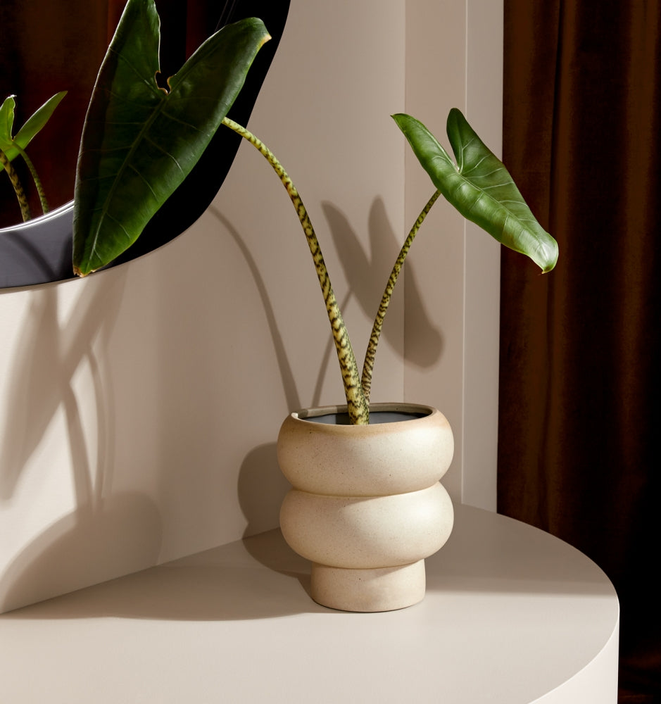 Rodwell and Astor - Billie Planter - Medium - Dune