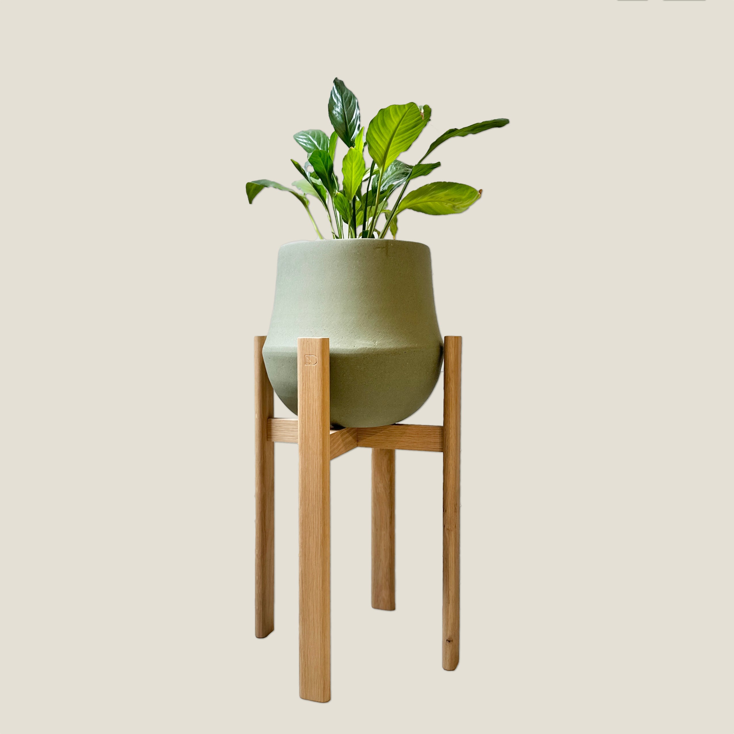 Duncan_Rodwell_Stadium_Plant_S