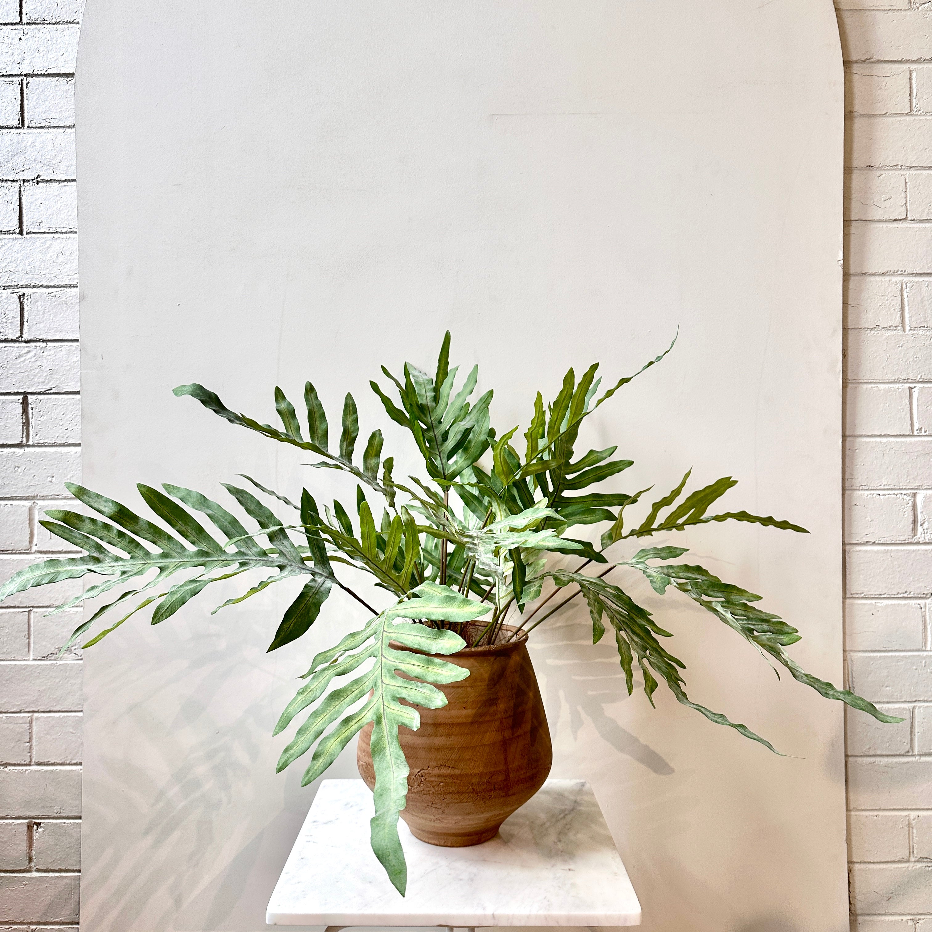 Faux Rabbit Foot Fern 70cm x 59cm – Rodwell and Astor