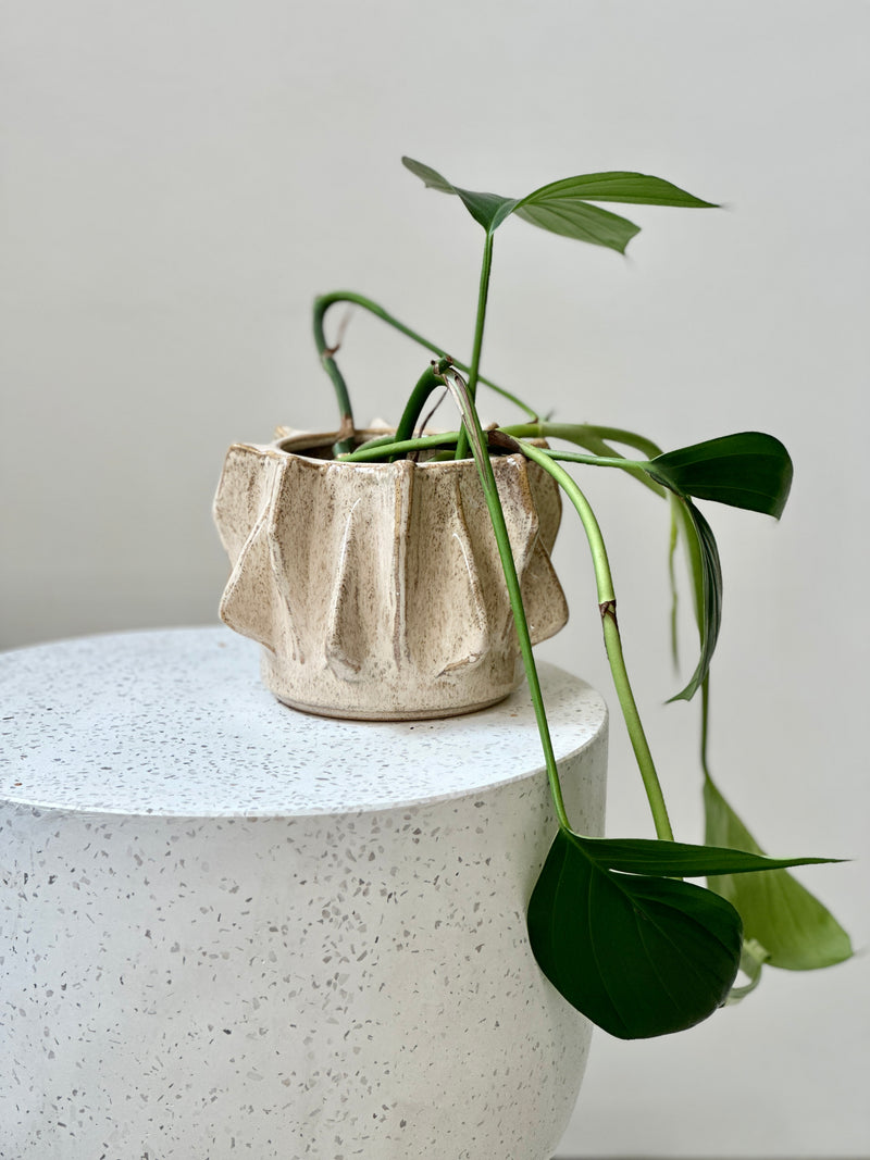 Erwan Ceramic Pot - Bristle