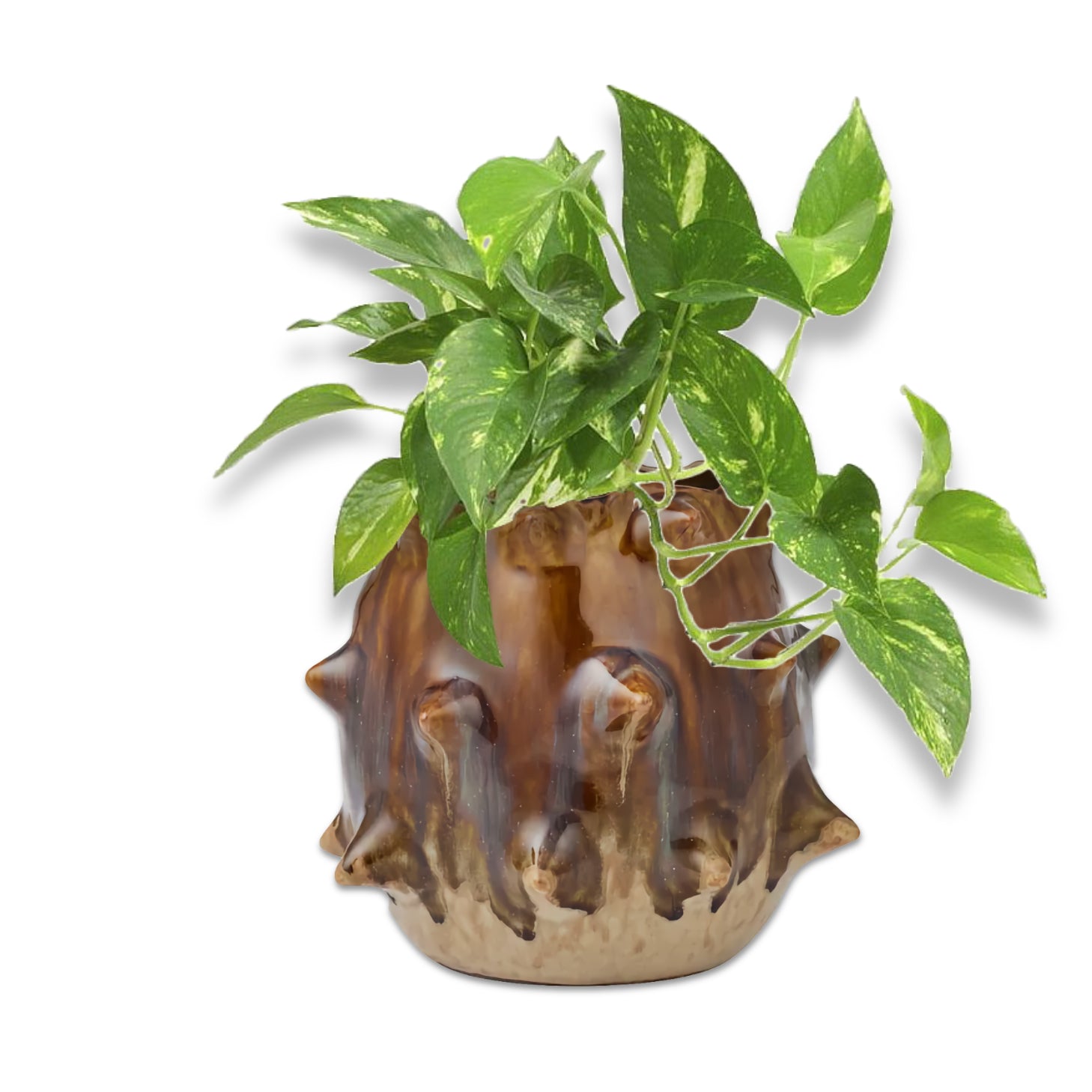 Mia Ceramic Vase - Toffee
