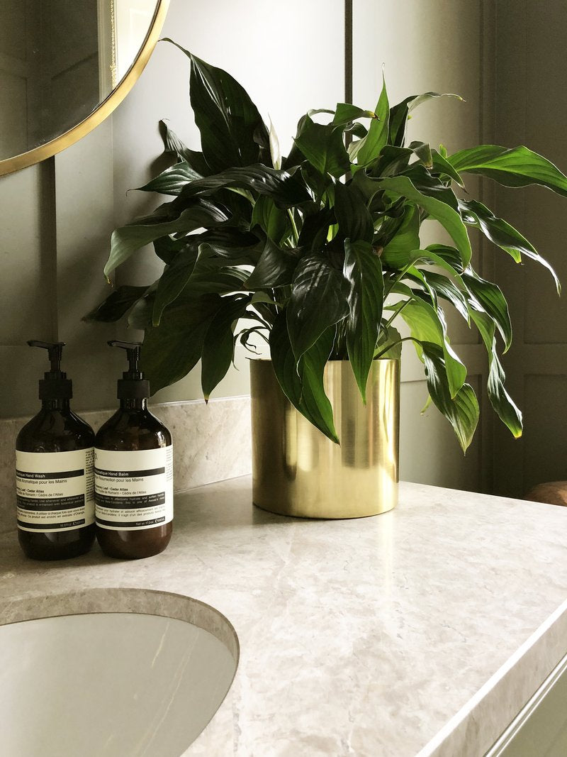 190mm Brass Planter