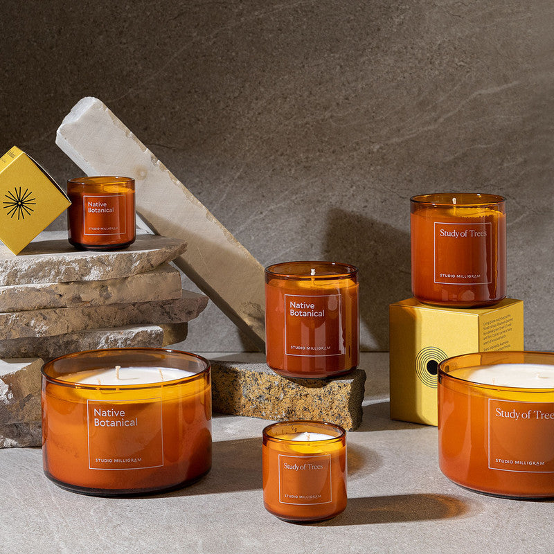 Essential Oil Candle Study of Trees 50H Rodwell and Astor