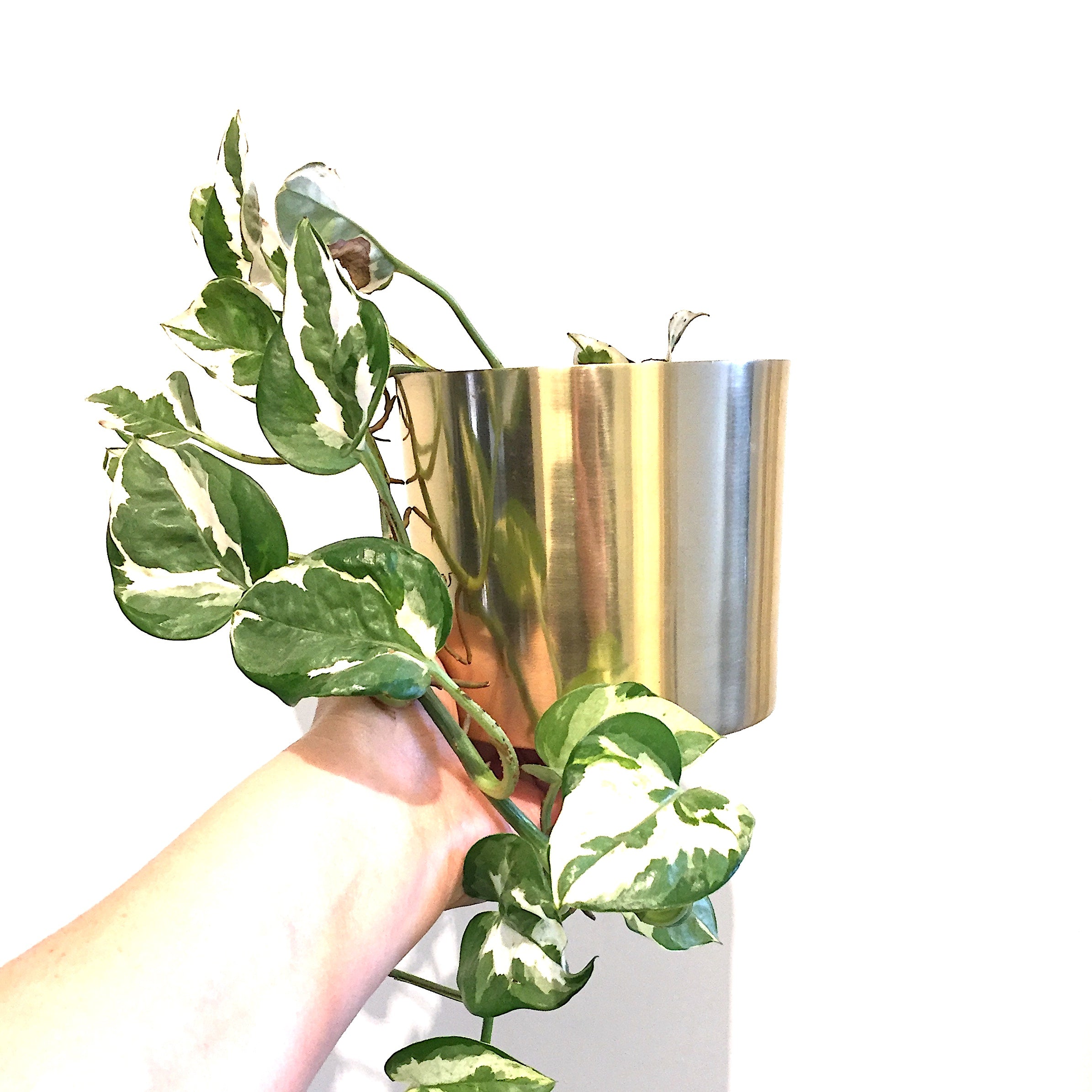 120mm Brass Planter