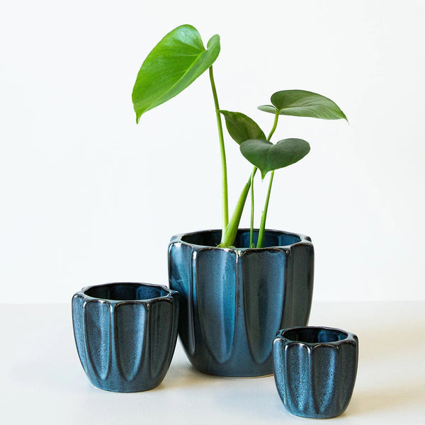 Jean Pot - Indigo Blue - Small, Medium & Large