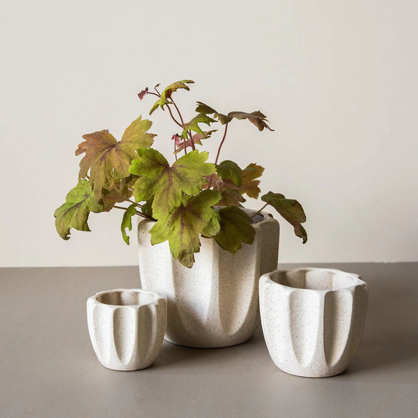 Jean Pot - Speckle Cream - Sml Med & Large