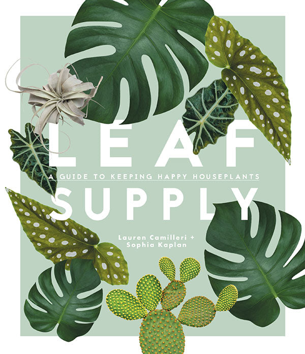 Leaf Supply - A Guide to Keeping Happy Houseplants
