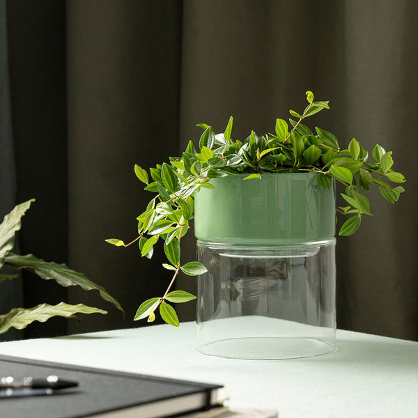 Rodwell and Astor - Glass Flip Planter - Wide - Clear/Sage