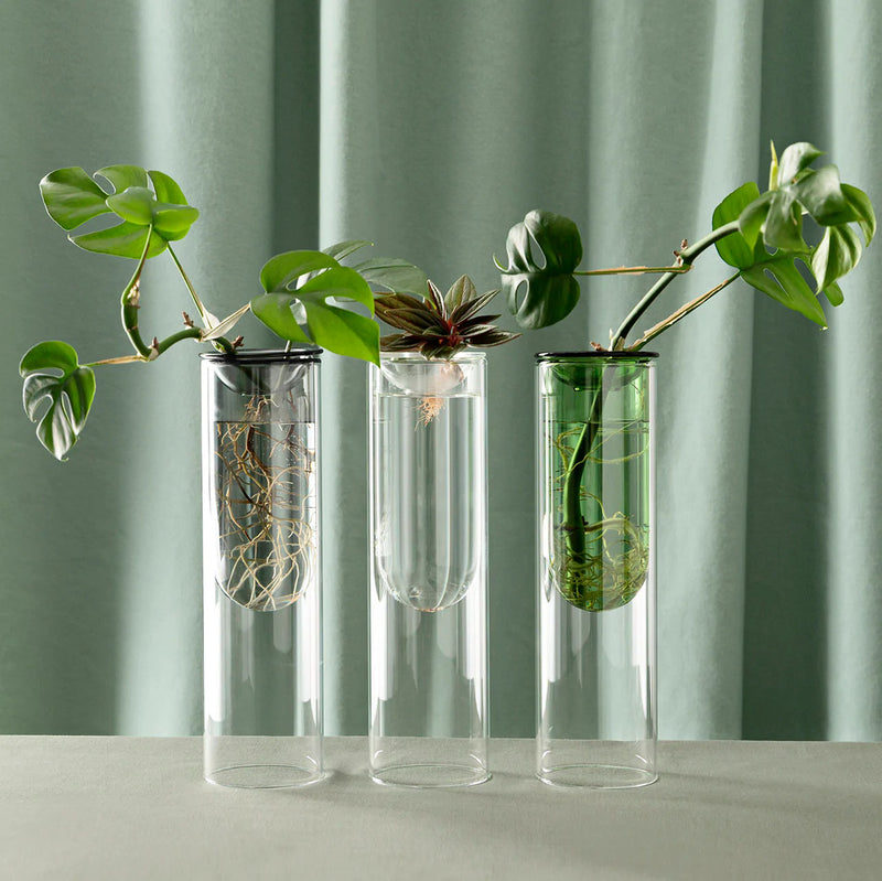 Rodwell and Astor - Organic Interior Propagation Vase - Clear
