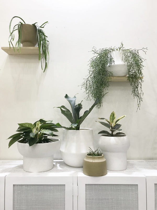 MRD HOME Ana Planter - Chalk-Extra Small