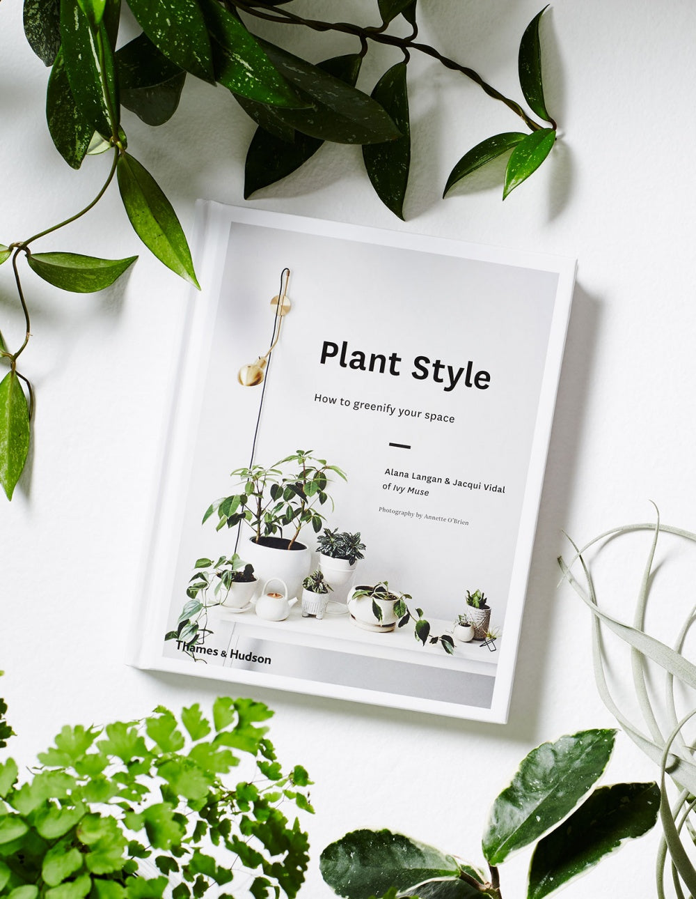 Plant Style: How to Greenify Your Space