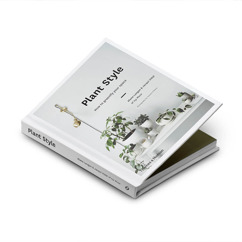 Plant Style: How to Greenify Your Space