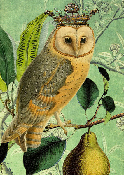 The Owl & The Pear - Blank Card