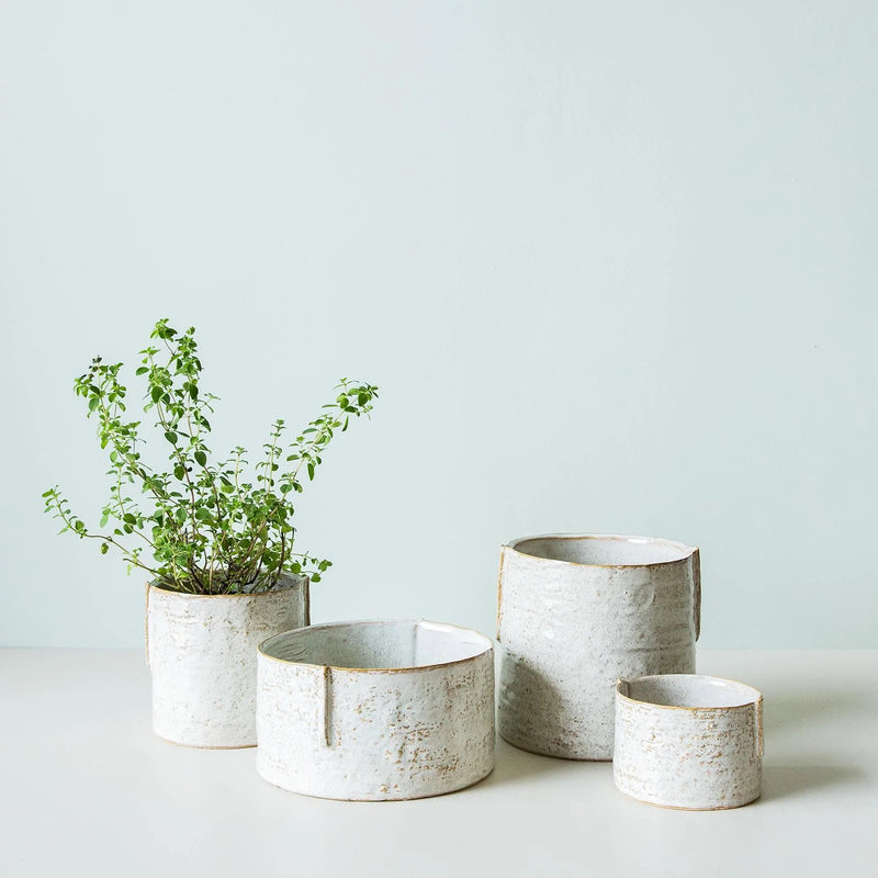 Rodwell and Astor - Forager Pot - Off White- Small