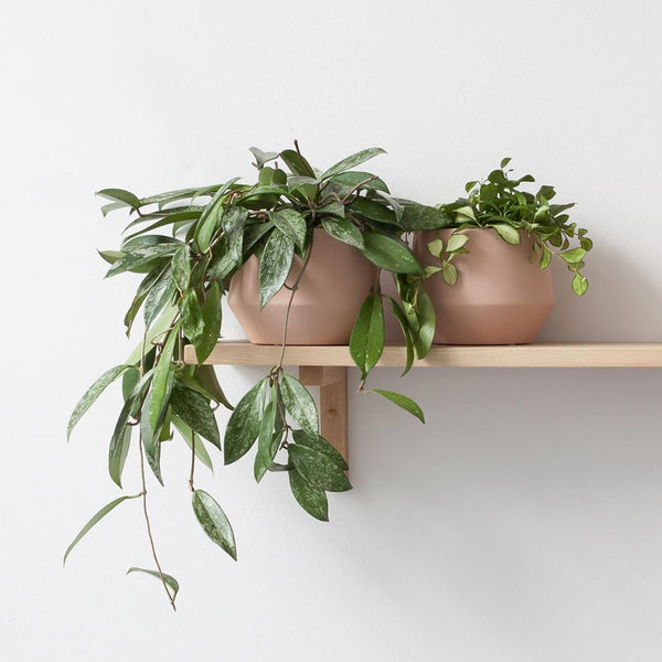 MIDDLE OF NOWHERE Samso Planter - Nude
