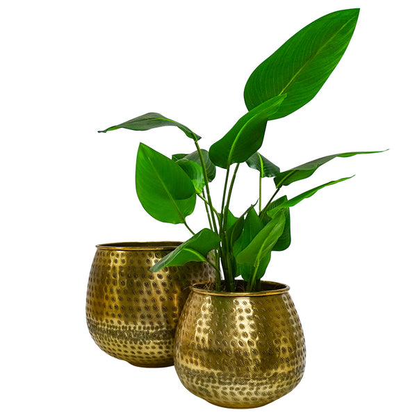 Tangier Brass Finish Planter - Small