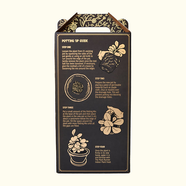THE PLANT RUNNER - Indoor Plant Potting Mix