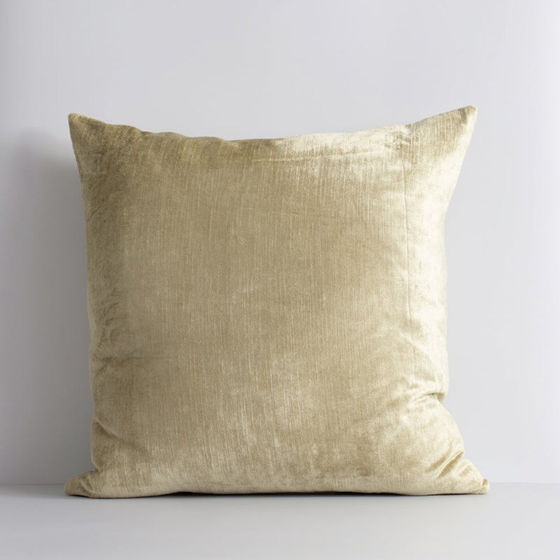 Champagne outlet velvet cushions