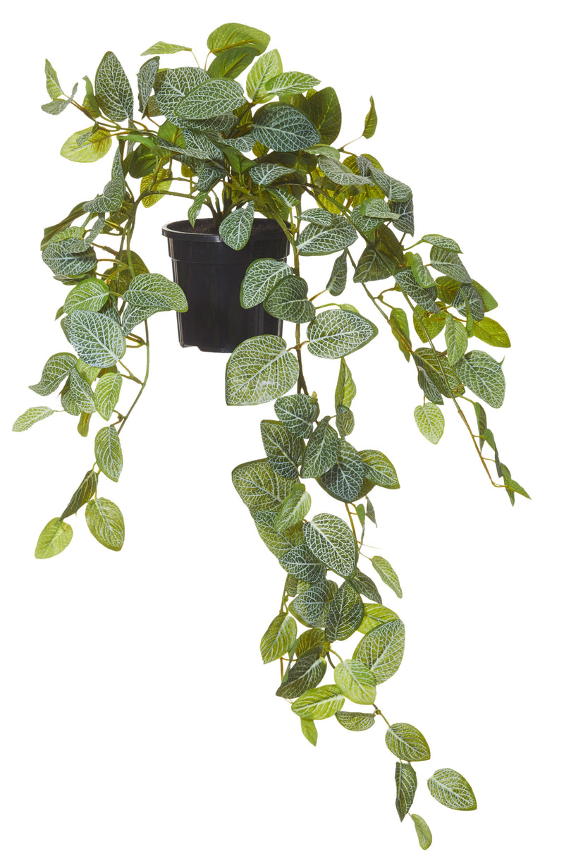 Artificial Fittonia Hanging Garden Pot - 70cm