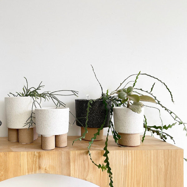 Harry Pot Small- Black