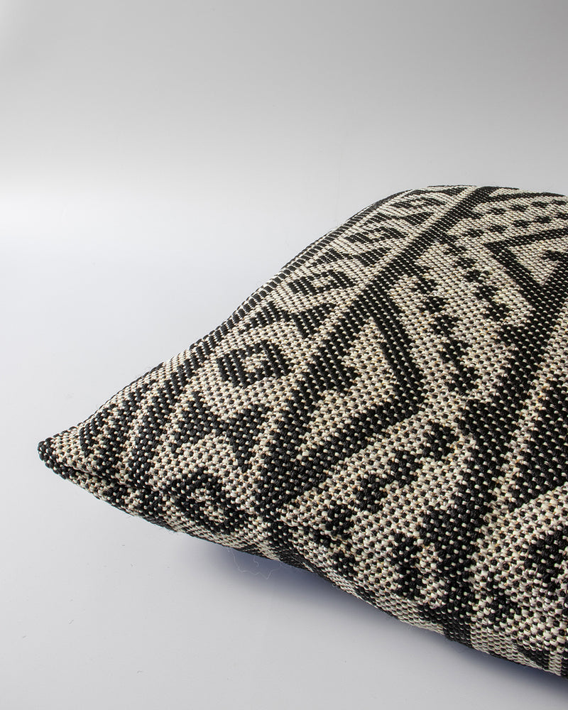 Sifiso In & Outdoor Cushion